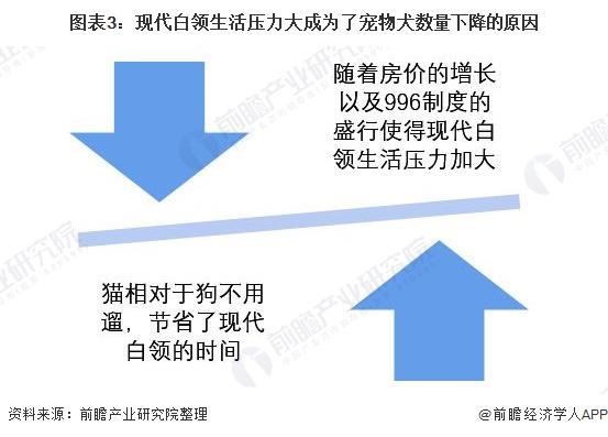 2021年中国宠物行业市场发展现状分析3.jpeg