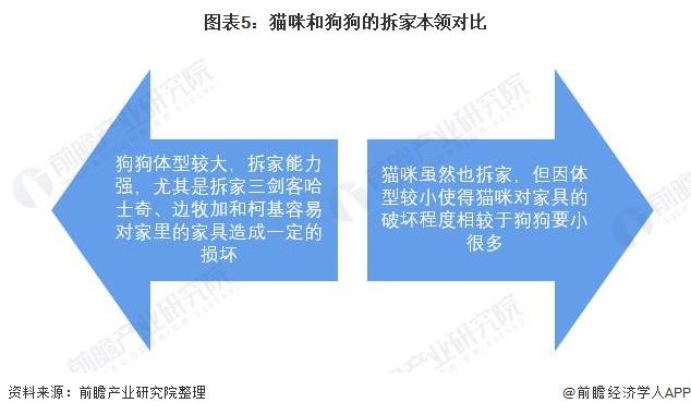 2021年中国宠物行业市场发展现状分析5.jpeg