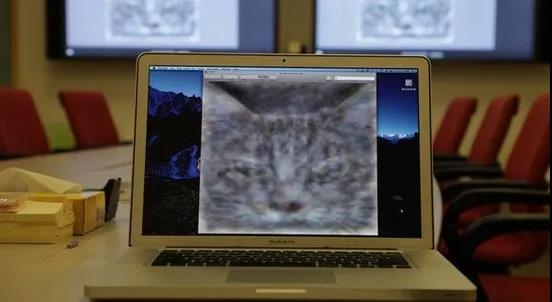 谷歌大脑利用算法自主学会了识别猫.jpg