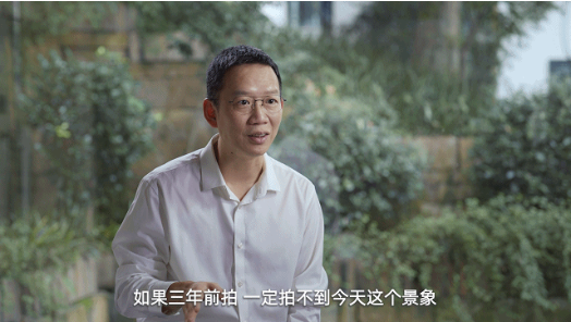 被卷入猫的时代.png