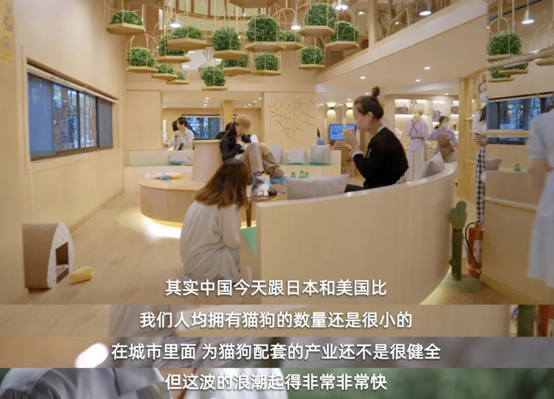 进化与时代.jpg