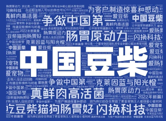 猫狗新世界，活力新探索：豆柴品牌视觉形象焕新升级.png