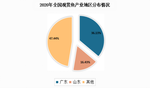 关于观赏鱼市场，你一定要知道的“三个真相”！.png