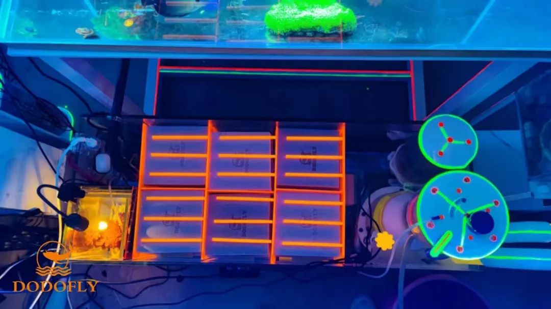 想出海的水族器材从业者看这里！这一个“法宝”助你事半功倍3.jpg