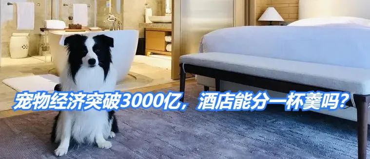 宠物经济突破3000亿，酒店能分一杯羹吗？.jpg