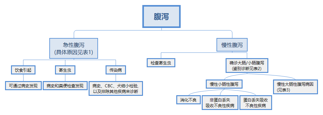 怎么又拉肚子了？宠物腹泻原因大揭秘.png