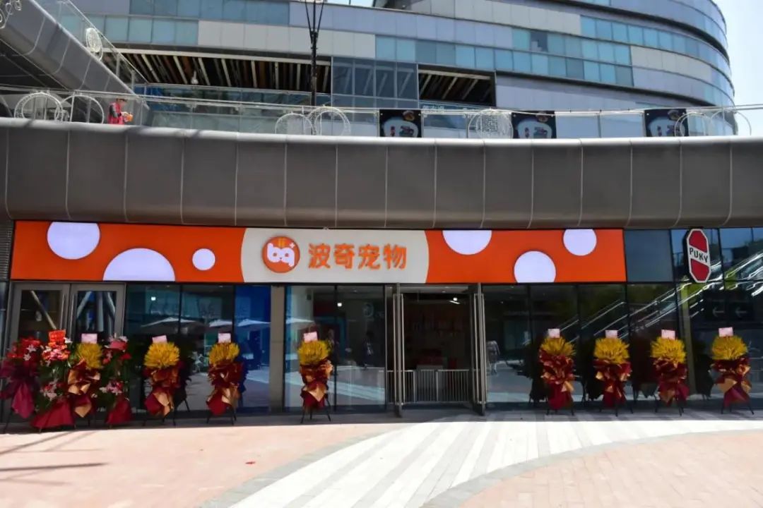 营收攀升，股价暴涨：波奇真的熬过了至暗时刻3.jpg
