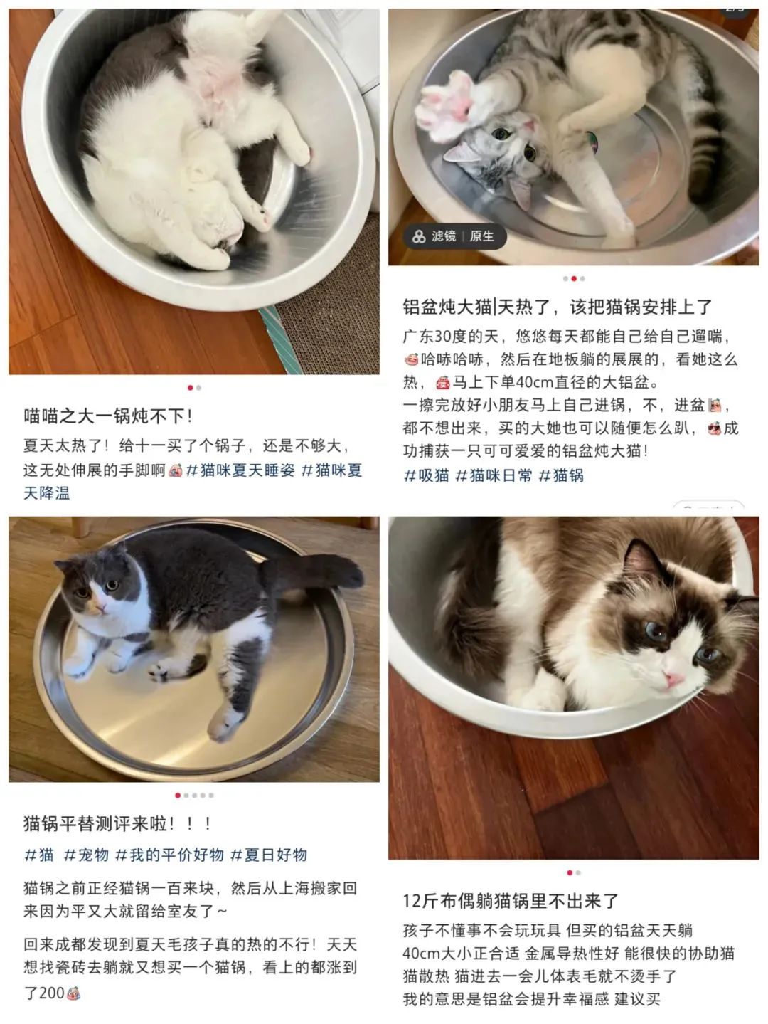 铝制“猫锅”能降温、冰垫卖到三位数……宠物解暑用品为什么卖爆了？4.jpg