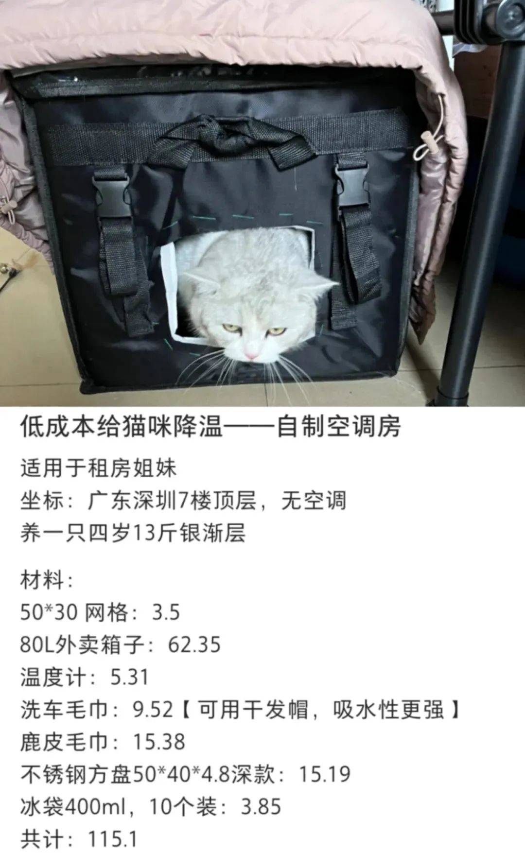 铝制“猫锅”能降温、冰垫卖到三位数……宠物解暑用品为什么卖爆了？7.jpg