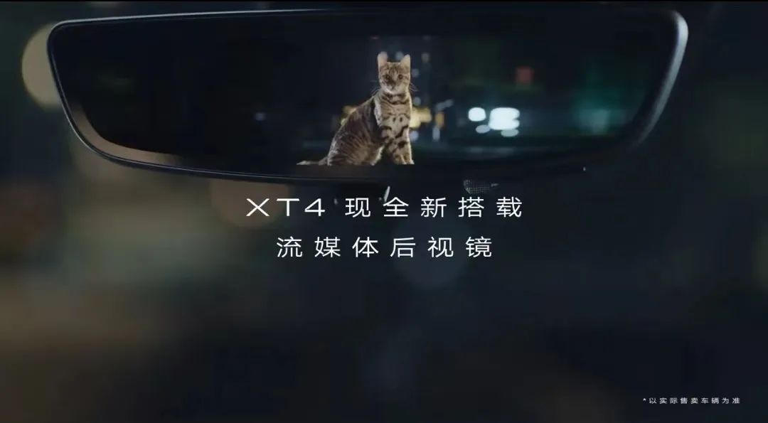 不止于「治愈」的宠物营销1.jpg