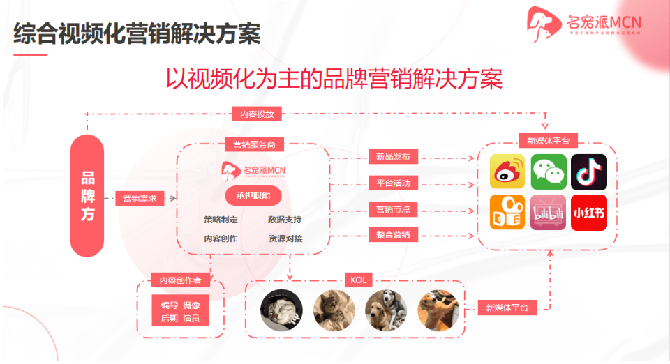 宠物行业这些边缘赛道崛起：「冷门」也能挣到「热钱」？5.png