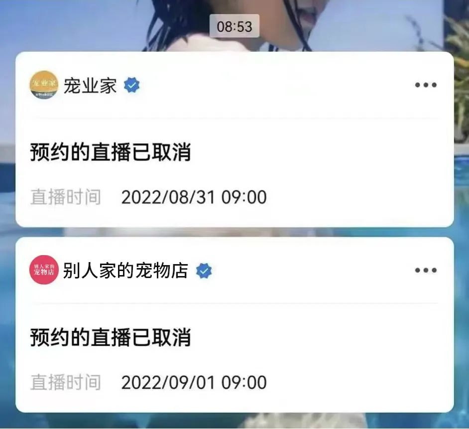 亚宠展前夜紧急叫停，数万宠业人受波及1.jpg