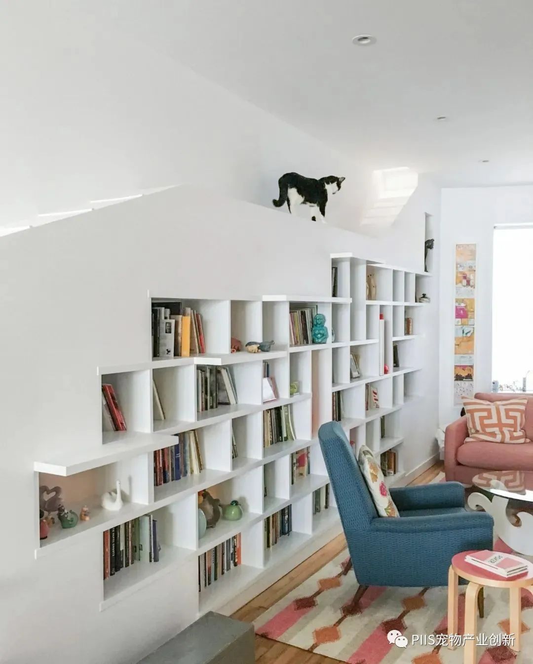 与宠物一起生活，如何设计人与动物舒适相处的室内空间8.jpg