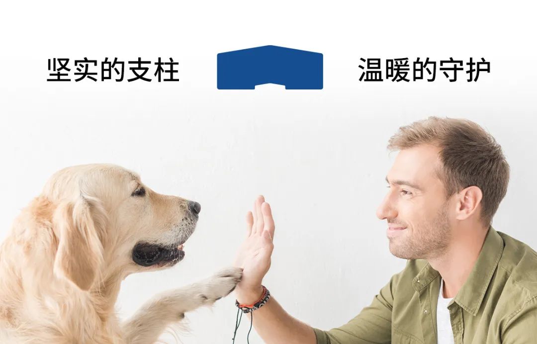 伯纳天纯3.jpg