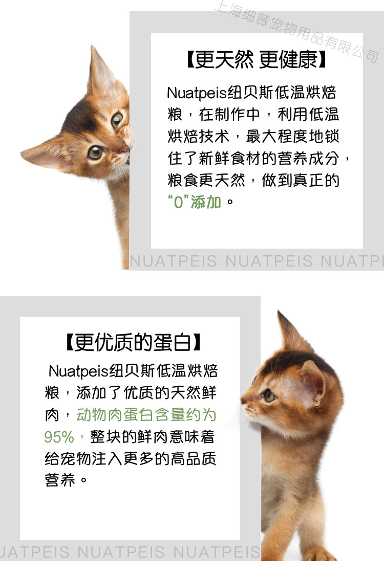 纽贝斯烘焙鲜肉全阶成猫粮 鸡肉三文鱼马铃薯 (10).jpg