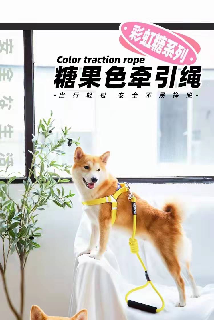 touch dog糖果色牵引绳.jpg