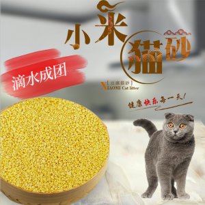 小米猫砂
