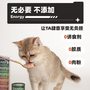 毛星球猫用电解质超能罐80g*6/盒