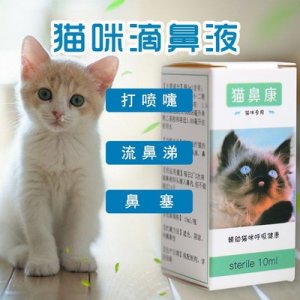 猫流鼻涕猫鼻支滴鼻液