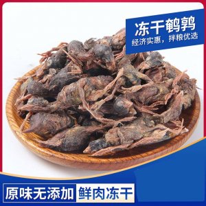 吉萌冻干鹌鹑猫犬500g