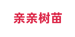 亲亲树苗