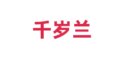 千岁兰