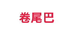 卷尾巴