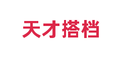 天才搭档