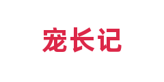 宠长记