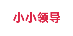 小小领导