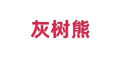 灰树熊