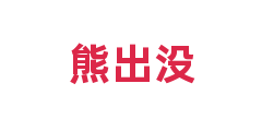 熊出没