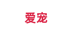 爱宠