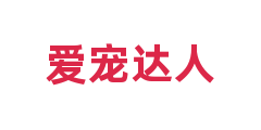 爱宠达人