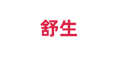 舒生