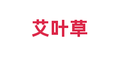 艾叶草