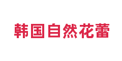 韩国自然花蕾