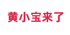 黄小宝来了